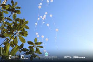 342431573_245904184513233_2530264006456801120_n